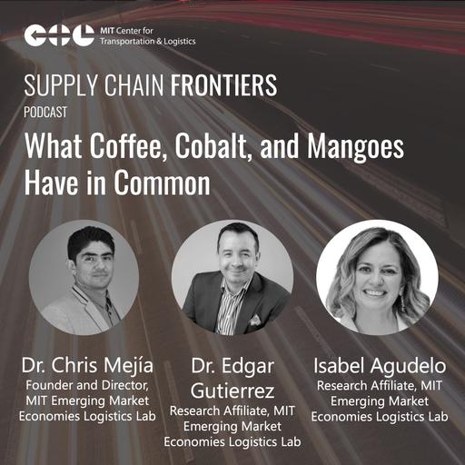What Coffee, Cobalt, and Mangoes Have in Common: Introducing the Emerging Market Economies Logistics Lab