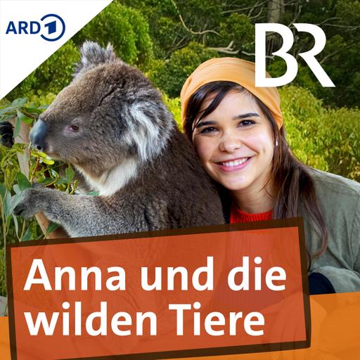 Anna macht eine Pause und hat einen Tipp für euch