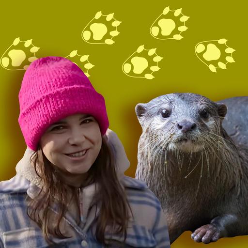 Fischotter - Flotte Fischfänger mit fantastischem Fell