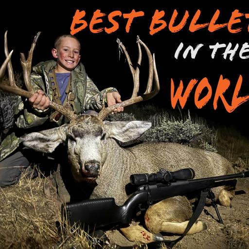 Best Bonded Bullets in the World