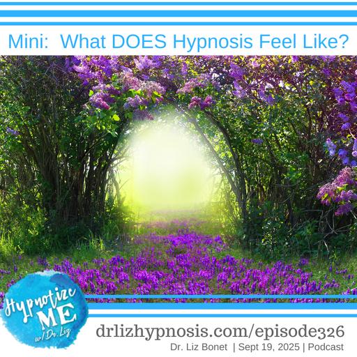 HM326 Mini: What DOES Hypnosis feel like?