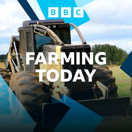 18/09/25: Drought/downpour, rural crime gang jailed, bus services