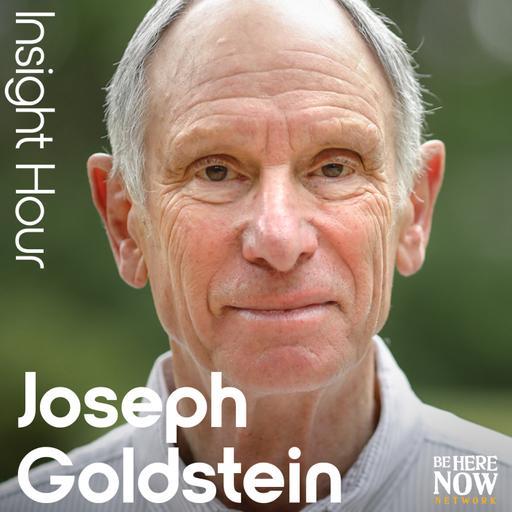 Ep. 252 – Equanimity: A Direct Path to Liberation