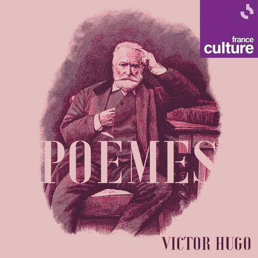 "Poèmes" de Victor Hugo 5/15 : "Melancholia"