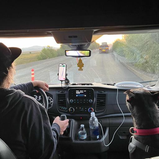 234. LIFERS - Road Report #22: Eastbound and Dog