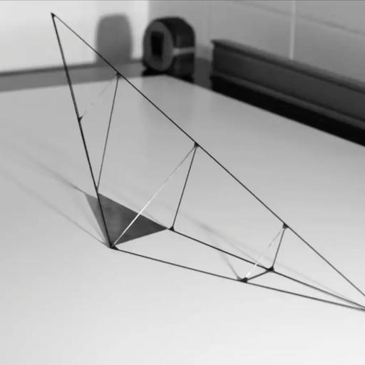 244: 4o mindhalálig