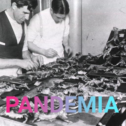 Pest (5) | Das Erbe der Pandemie