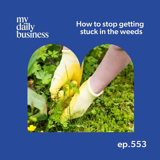Episode 553: How to stop getting stuck in the weeds of your small business