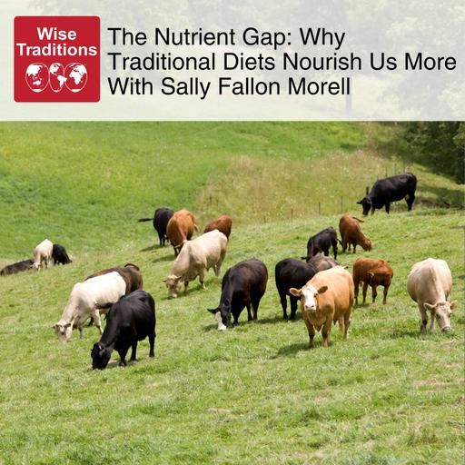 545: The Nutrient Gap: Why Traditional Diets Nourish Us More With Sally Fallon Morell