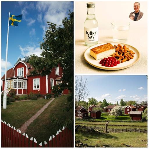 Audiotravels: Småland Bites – Birkensaft, Ostkaka und Pfifferlinge
