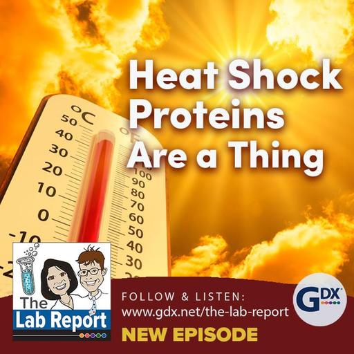 Heat Shock Proteins are a Thing