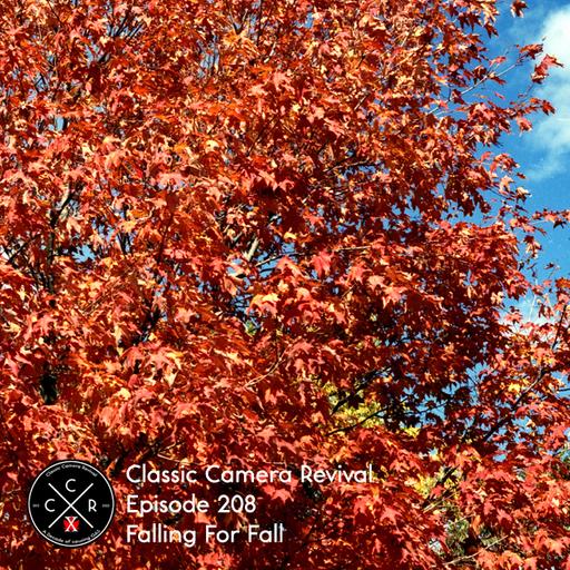 Episode 208 - Falling For Fall