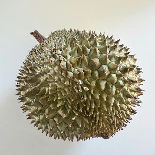 Durian Delight and Feijoa Fun: Adventures in Banned, Forgotten, and Unusual Fruit