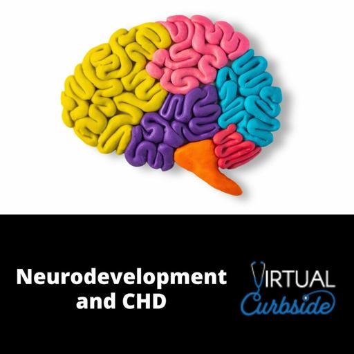 Episode 350: #81-4 Neurodevelopment & CHD: Q & A