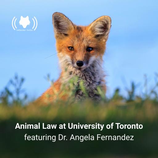 Animal Law at University of Toronto featuring Dr. Angela Fernandez