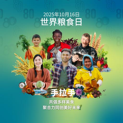 2025世界粮食日公益广告