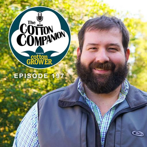 Talking Mid-South Cotton, Early Harvest, and Pests Old and New