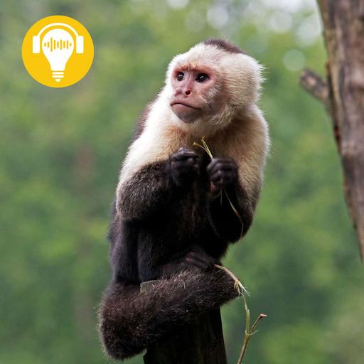 #18 - Music as Moral Evidence