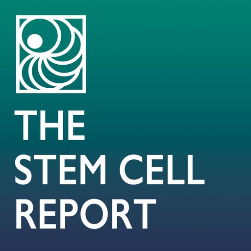 Movin’ On Out: Mobilizing HSCs From The Bone Marrow