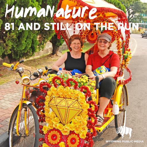 81 And Still On The Run