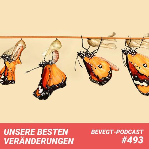 #493 - Die 13 besten Veränderungen unseres Lebens
