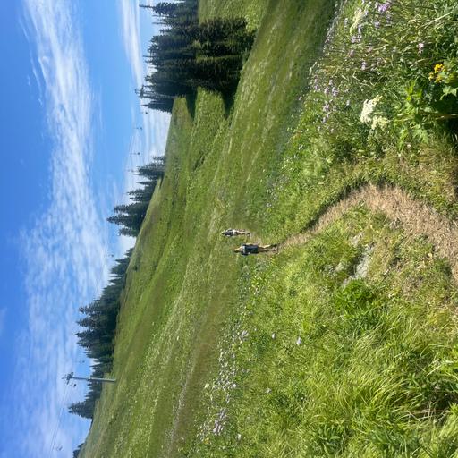 Trail Tips: It almost always never gets worse, sometimes