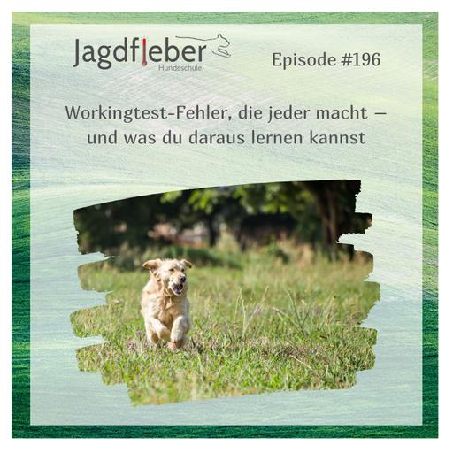 P196: Workingtest-Fehler, die jeder macht – und was du daraus lernen kannst