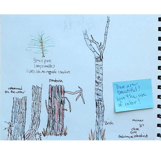 If I could only put that on paper.