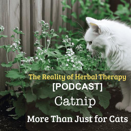 Catnip, More Than Just for Cats