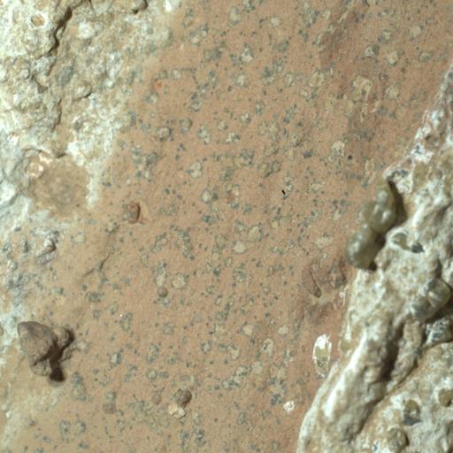 La Brújula de la Ciencia s15e02: Vida en Marte: qué es la roca Cheyava Falls y por qué aún no podemos cantar victoria