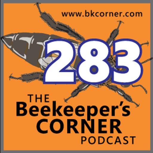 BKCorner Episode 283 - The Guy
