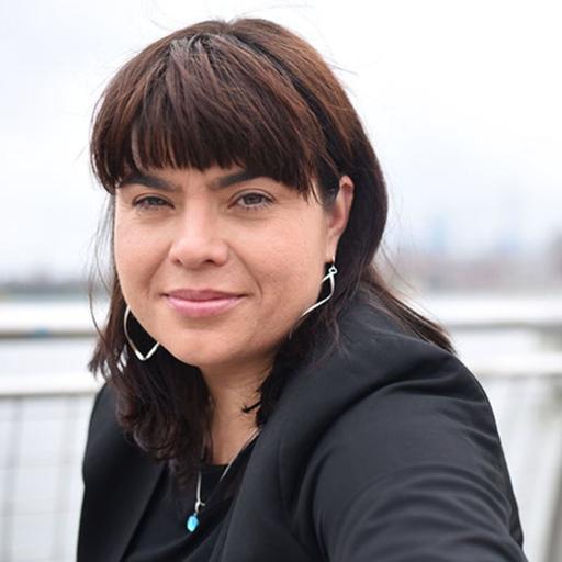 #71 Demystifying AI with Hilke Schellmann