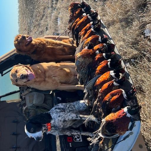 Birds Dogs Keep Us Humble with Final Rise and Gun Dog Grind