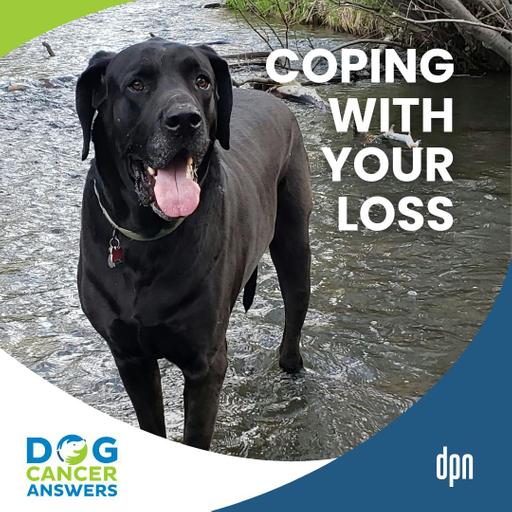 Coping with the Loss of a Dog: Vet Shares Emotional Story of Her Hardest Goodbye | Dr. Adrienne Anderson #293