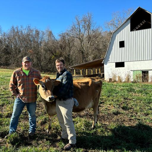 Small scale dairy farming is a labor of love