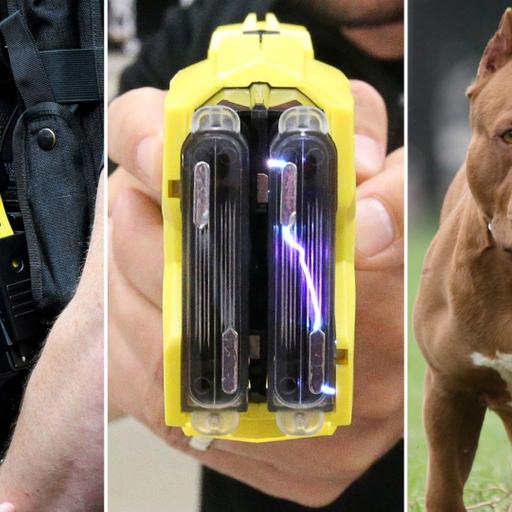 493 - Police Use of Force