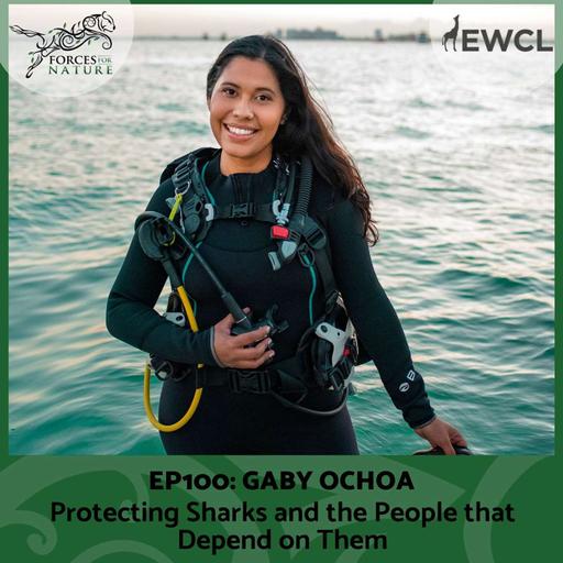 Protecting Sharks and the People that Depend on Them with Gaby Ochoa, Ep. 100