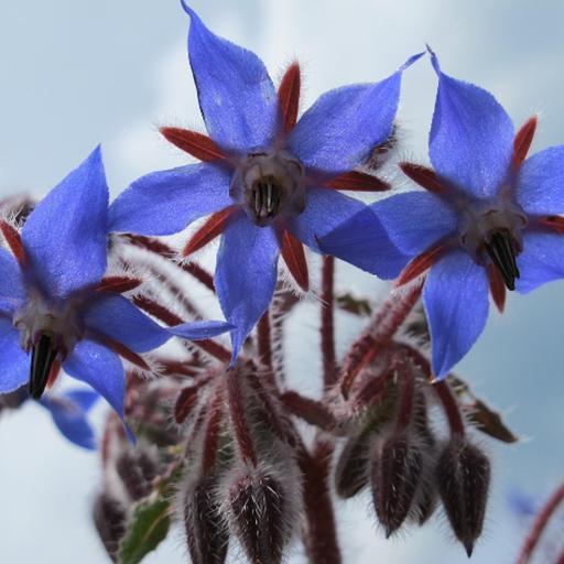 Farming at a crossroads as changing crops help to boost yields