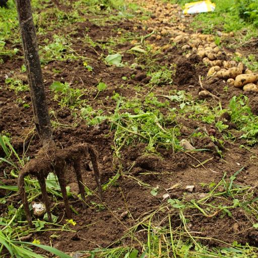 Grass cuttings can prevent weeds says gardener