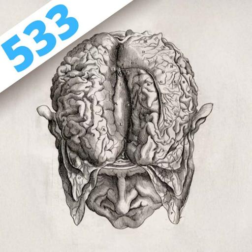 533 - Histoires de cerveaux