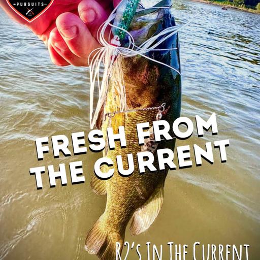 Fresh From The Current - R2's In The Current