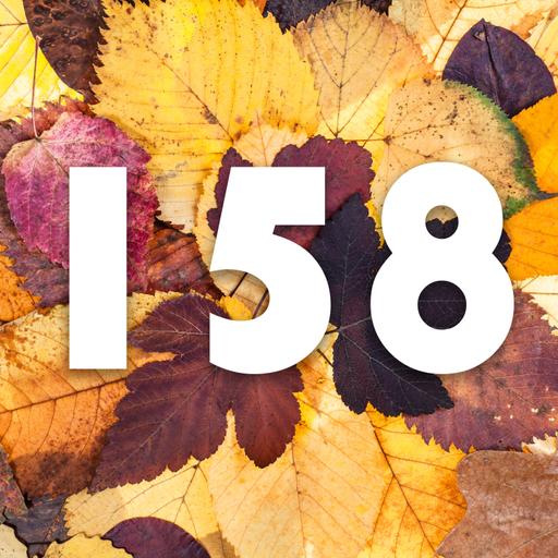 158 - Autumn Abundance: Sowing, Storing & the Kale Comeback