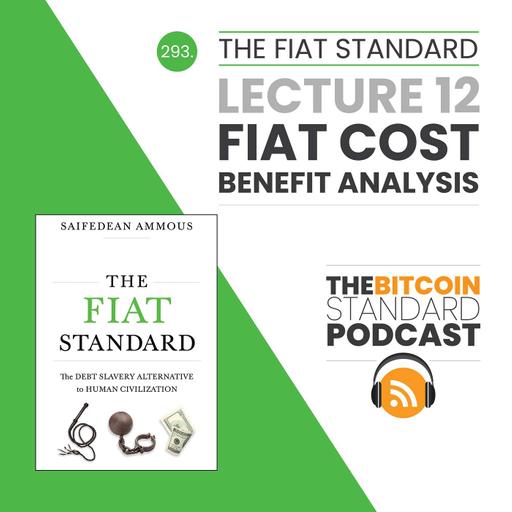 293. The Fiat Standard Lecture 12: Fiat Cost-Benefit Analysis