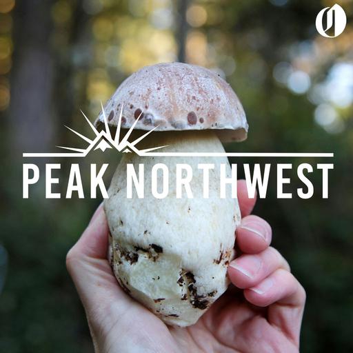 8 essential fall activities in Oregon