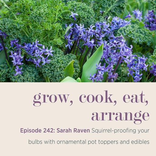Sarah Raven: Squirrel-proofing your bulbs with ornamental pot toppers and edibles - Episode 242