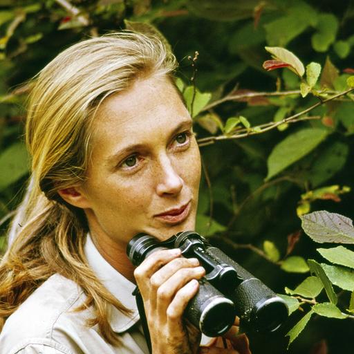 A story of hope: How Jane Goodall changed the world