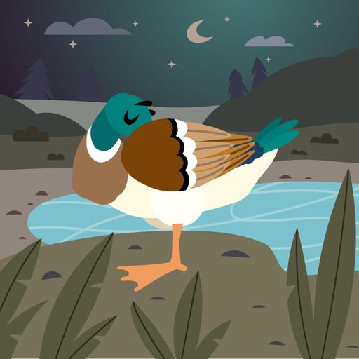 Why Ducks Sleep on One Leg-Storytelling Podcasst for Kids:E326