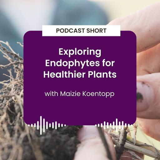 Podcast Short: Exploring Endophytes for Healthier Plants with Maizie Koentopp