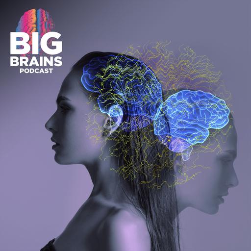 Why We Haven’t Solved Brain Disorders—And How To Fix It, with Nicole Rust