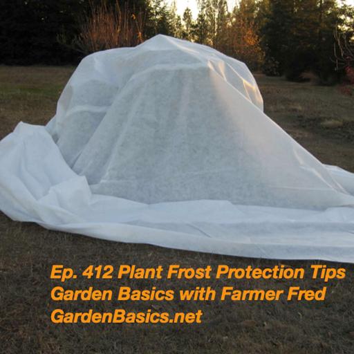 412 Plant Frost Protection Tips